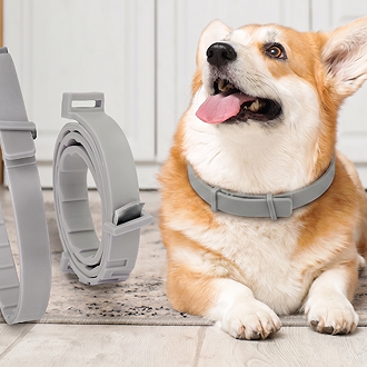 BarxBuddy BiteShield™ Flea & Tick Collar