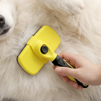 BarxBuddy Self-Cleaning Brush