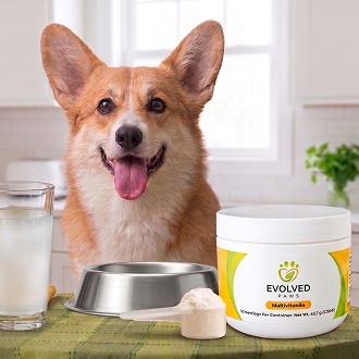 Evolved Paws Multivitamin Powder