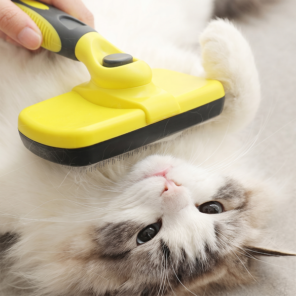 BarxBuddy Self-Cleaning Brush