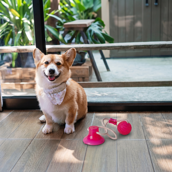 BarxBuddy Suction Cup Chew Toy