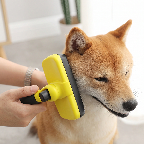 BarxBuddy Self-Cleaning Brush