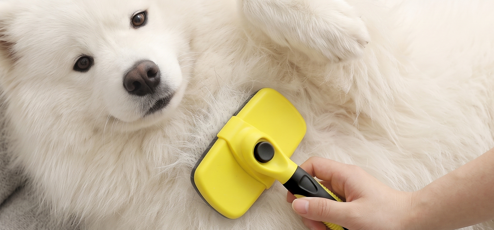 BarxBuddy Self-Cleaning Brush