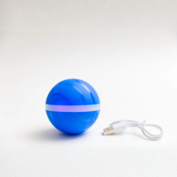 BarxBuddy BusyBall