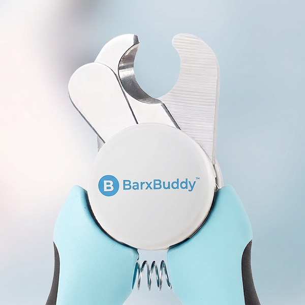 SHARP STAINLESS BLADES