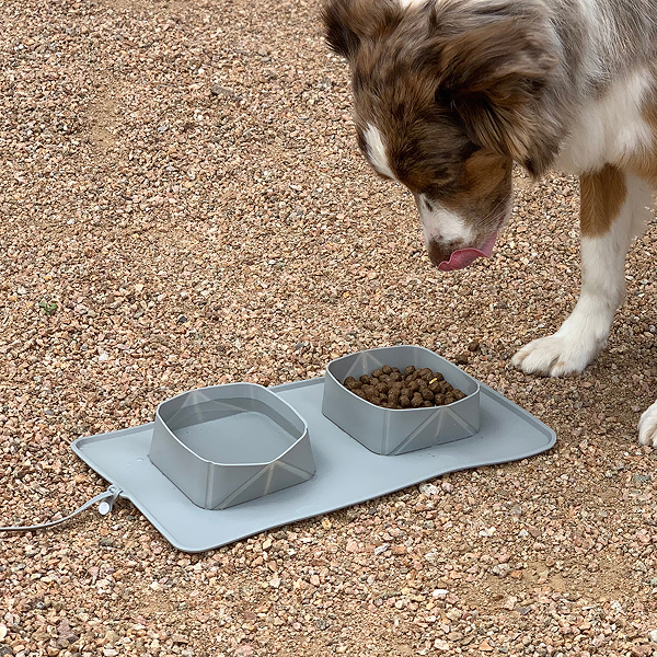 BarxBuddy Collapsible Silicone Dog Bowl
