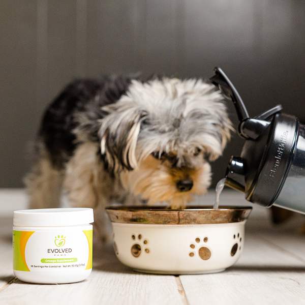 Evolved Paws Multivitamin Powder