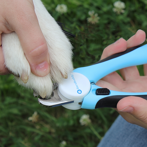 BarxBuddy 3-Piece Dog Grooming Set