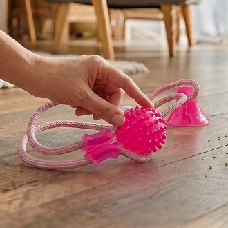 BarxBuddy Suction Cup Chew Toy