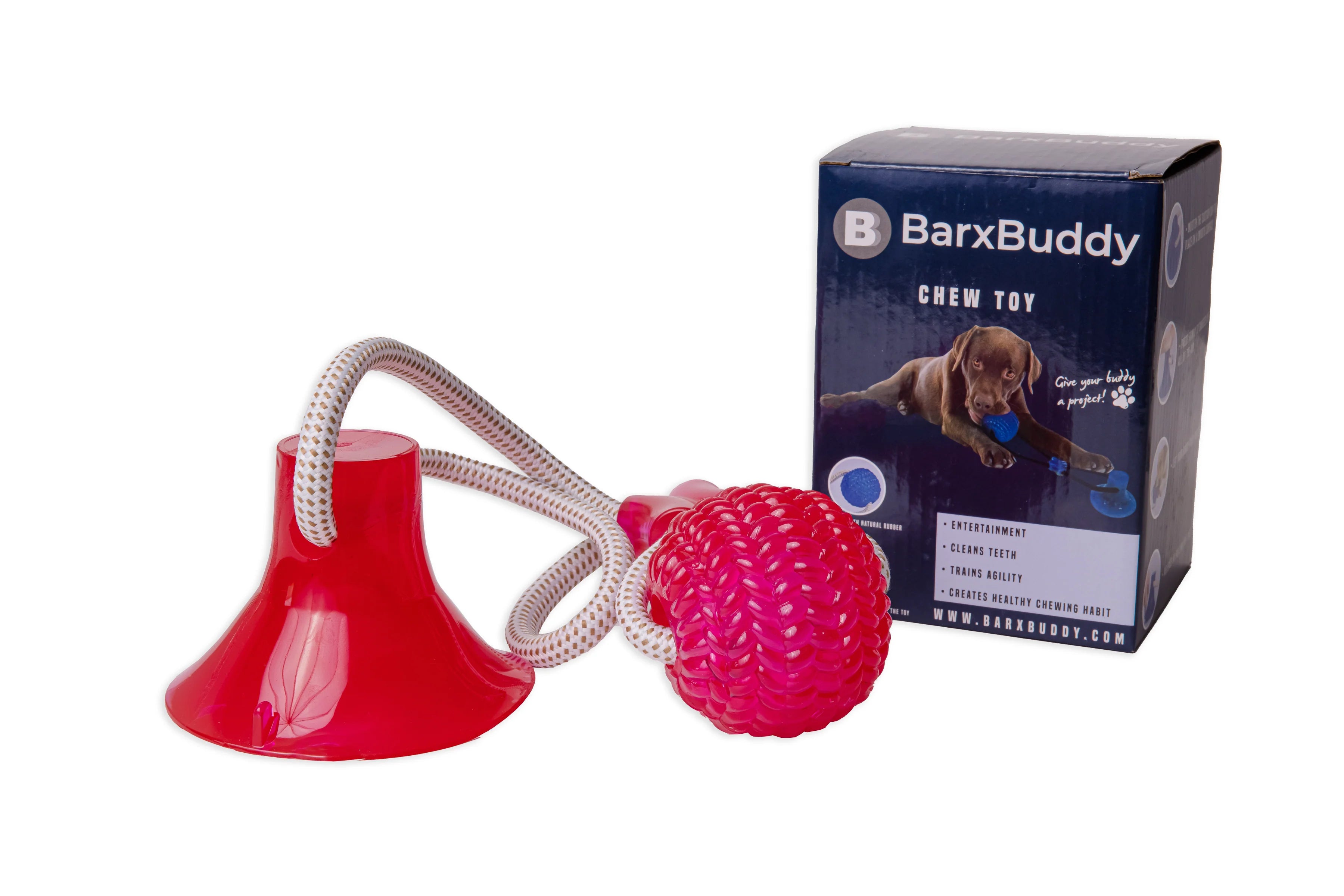 BarxBuddy Easter Ultimate Bundle