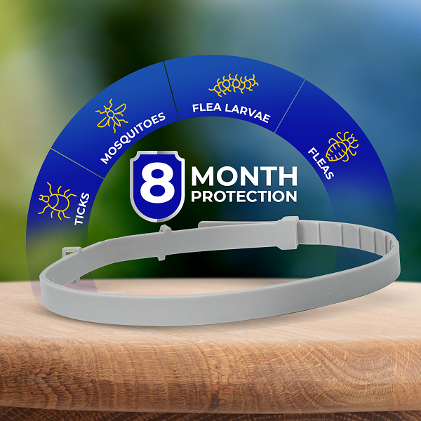 BarxBuddy BiteShield™ Flea & Tick Collar