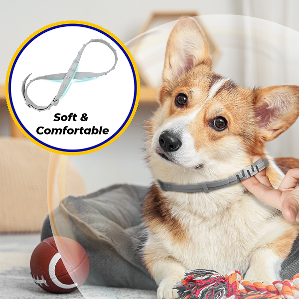 BarxBuddy BiteShield™ Flea & Tick Collar