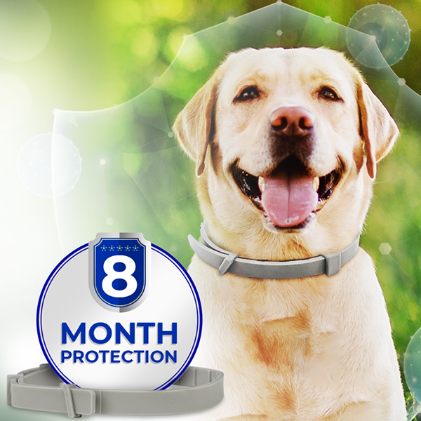 BarxBuddy BiteShield™ Flea & Tick Collar