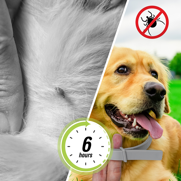 BarxBuddy BiteShield™ Flea & Tick Collar