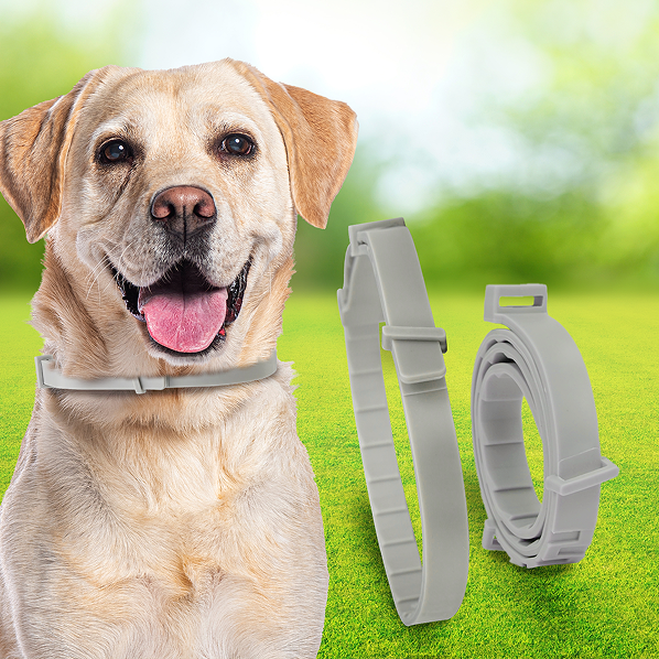 BarxBuddy BiteShield™ Flea & Tick Collar