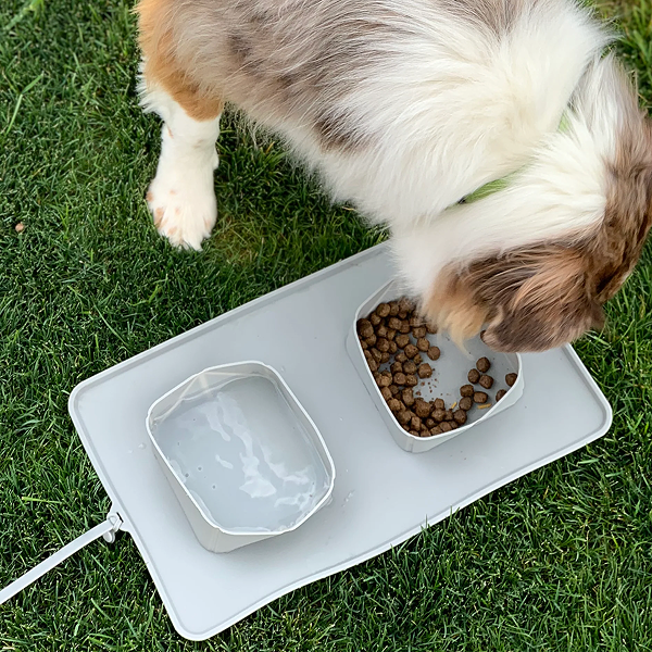 BarxBuddy Collapsible Silicone Dog Bowl