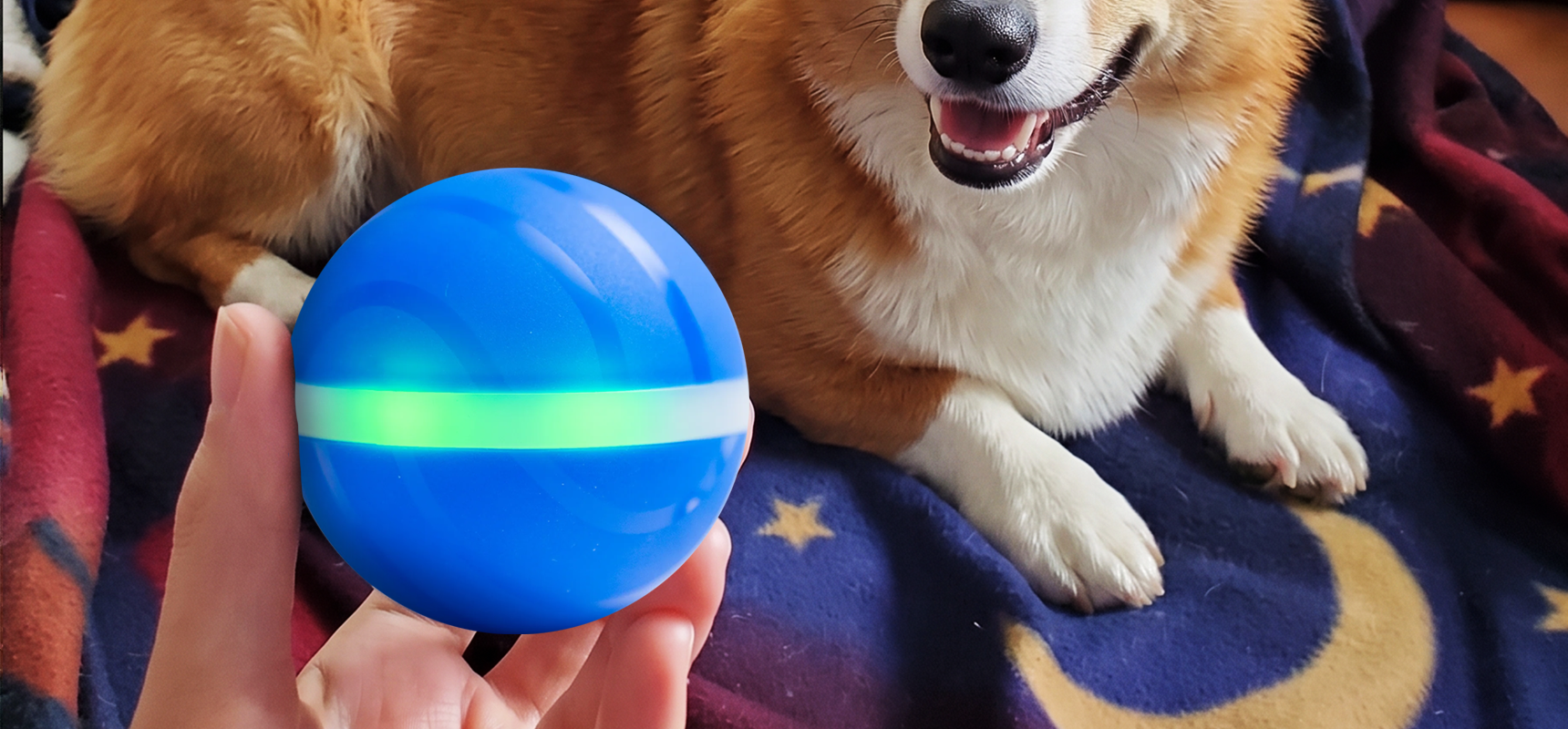 BarxBuddy BusyBall