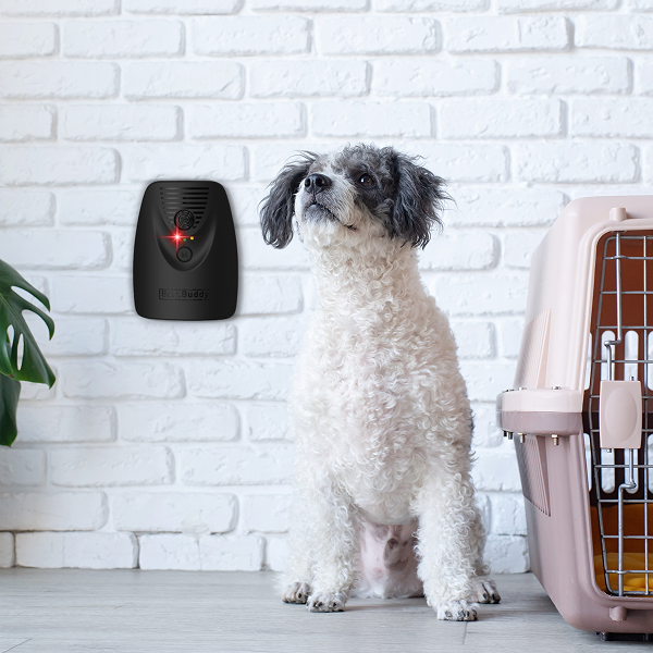 BarxBuddy BarkShield Home