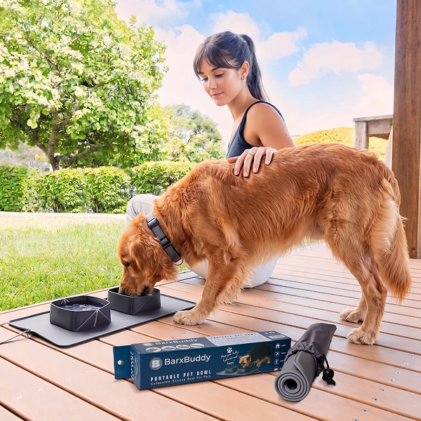 BarxBuddy Collapsible Silicone Dog Bowl