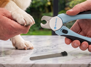 SAFETY STOP GUARD