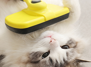 SHINIER, HEALTHIER FUR