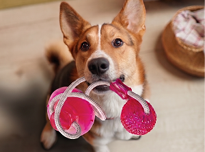TWO TOYS IN ONE