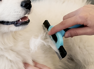 DESHEDDING COMB