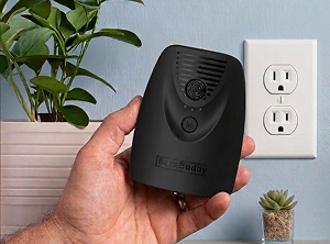 NO CHARGING, EVER