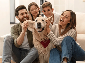 VET-APPROVED AND SAFE