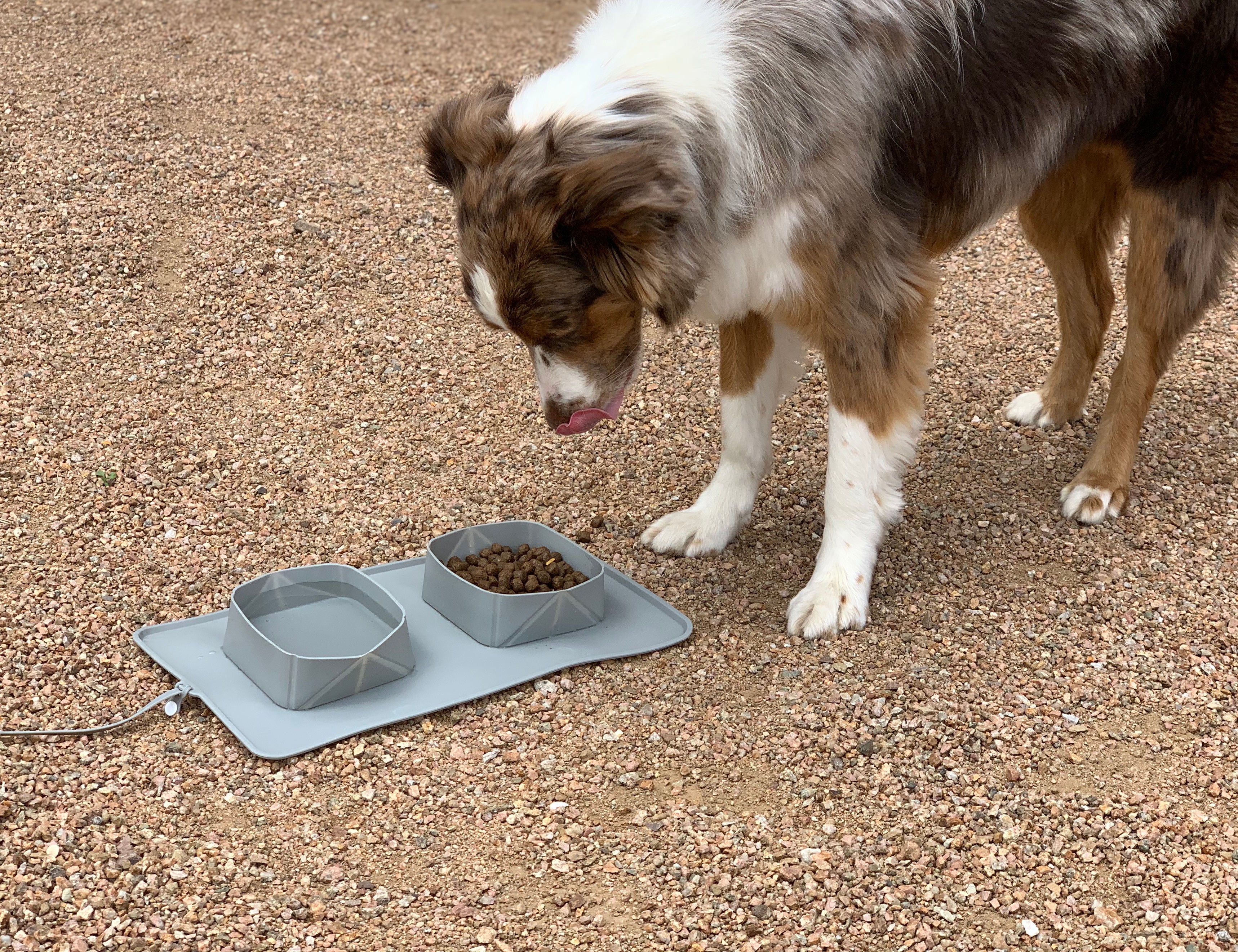 BarxBuddy Silicone Dog Bowl for Water and Food on the Go