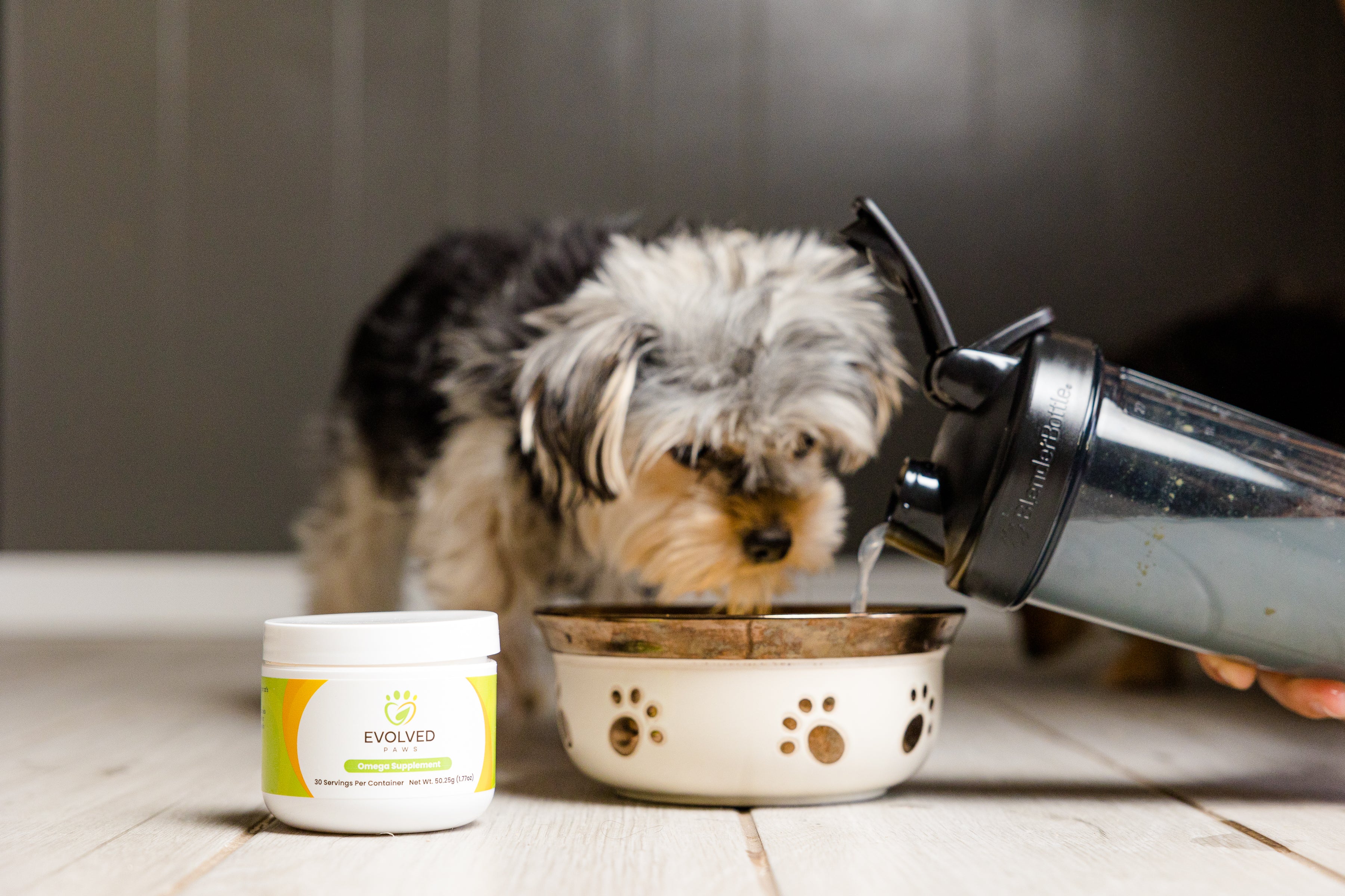 Evolved Paws Multivitamin Powder for Dogs and Cats